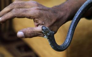 FOTO: AA / Jordanac u kući sa zmijama